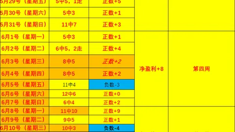 西悉尼流浪者对切尔西友谊赛深度解析：独家比分解读指南